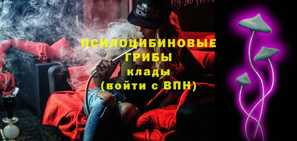 эйфоретик Горняк