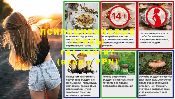 стафф Горнозаводск
