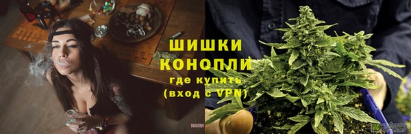 стафф Горнозаводск