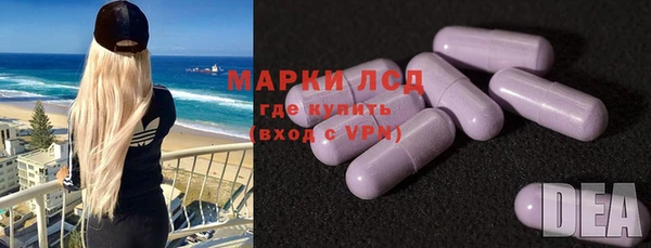 стафф Горнозаводск