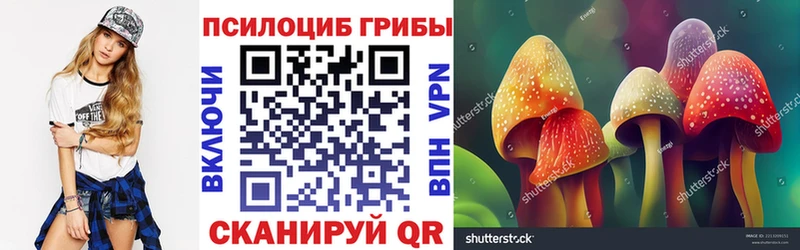 купить закладку kraken ONION Галлюциногенные грибы Cubensis Егорьевск